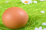 六种吃鸡蛋方法要命