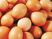 雞蛋的營養價值有哪些