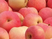 蘋果的多種健康功效
