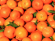 秋天吃橘子六大好處