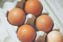 鸡蛋为啥长“雀斑”