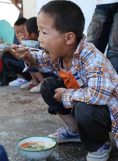 中国农村小学生膳食状况调研报告摘要